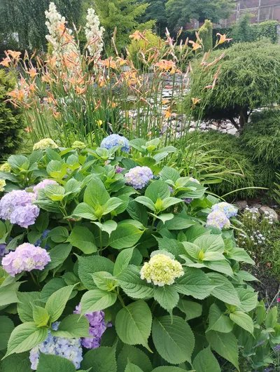 Zielony ogród restauracji - miejsce na imprezy plenerowe