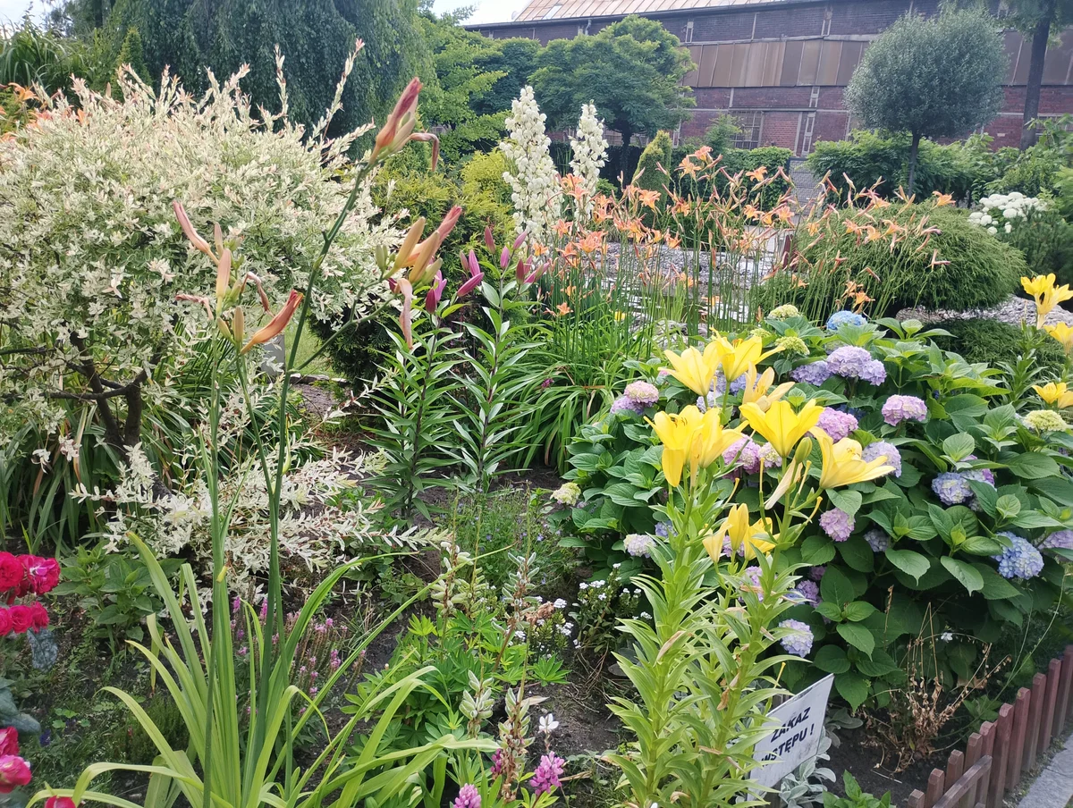 Przestronny ogród Restauracji Świetlik na Śląsku