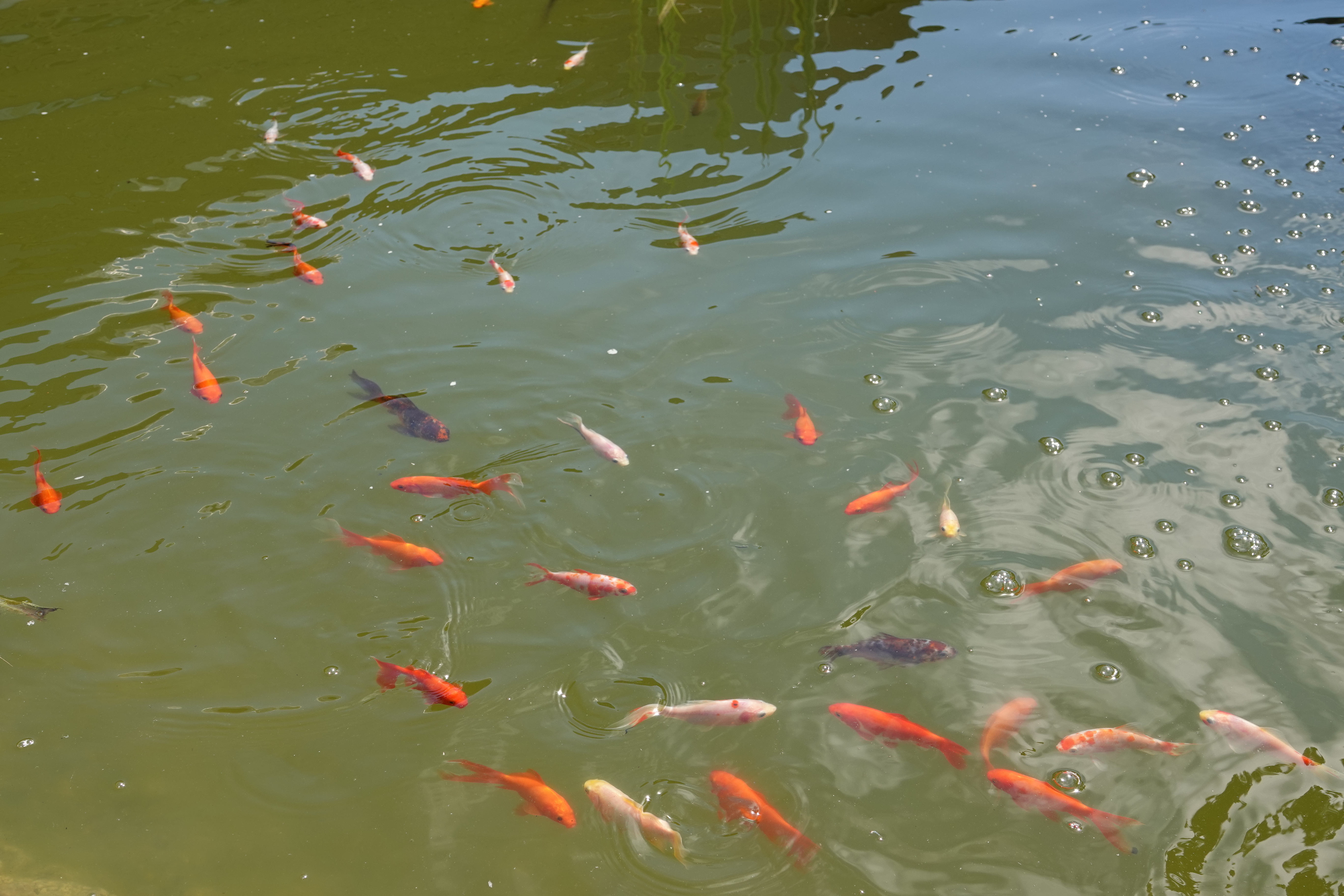 Zdjęcie 2 z galerii