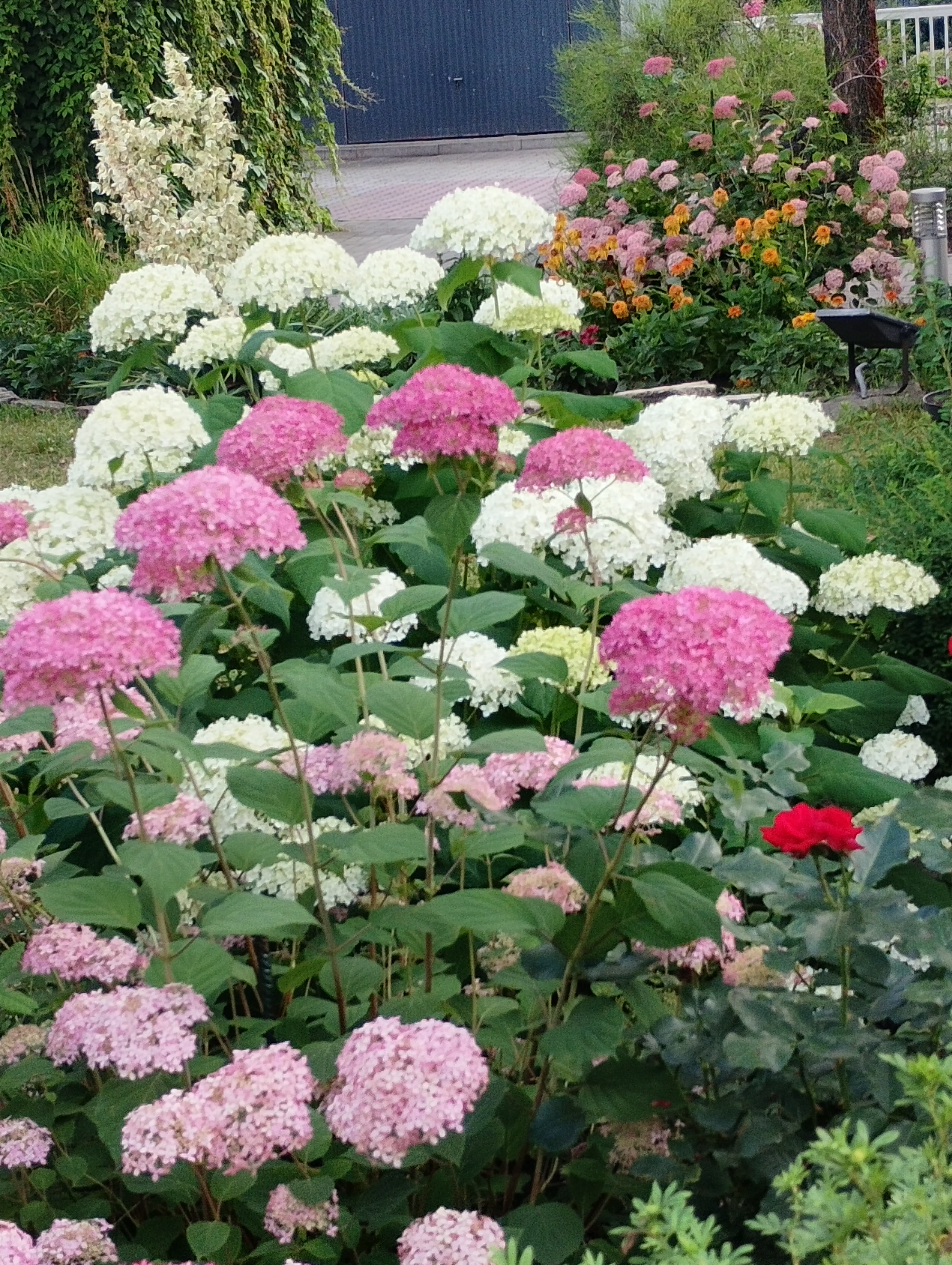 Zdjęcie 5 z galerii